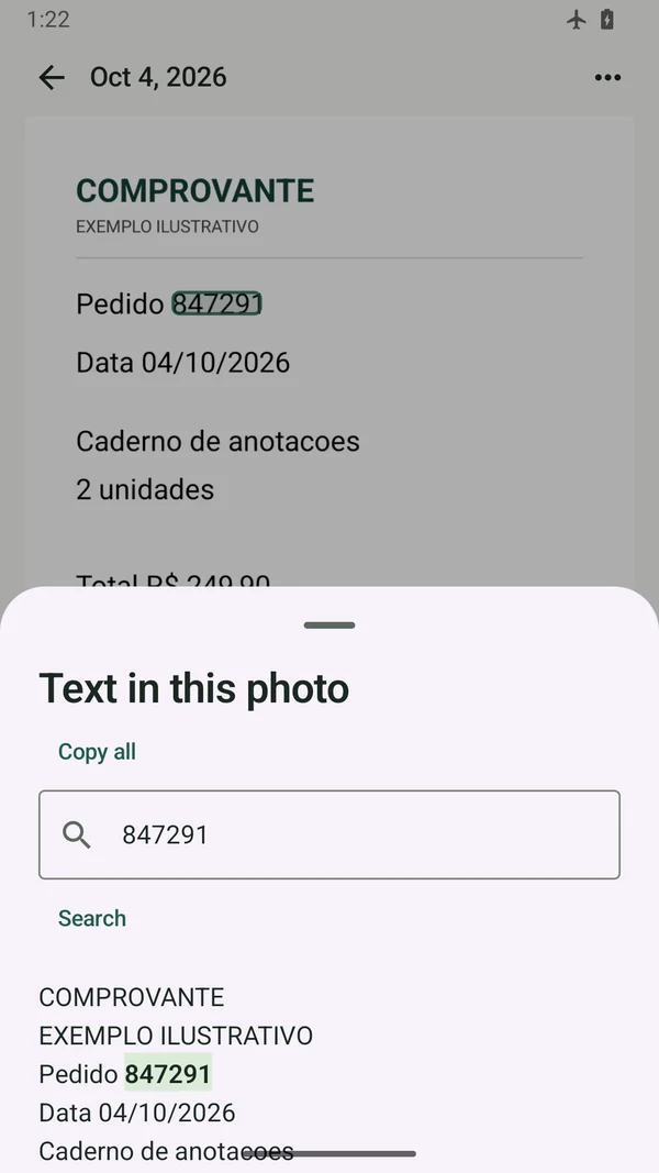 Texto extraído